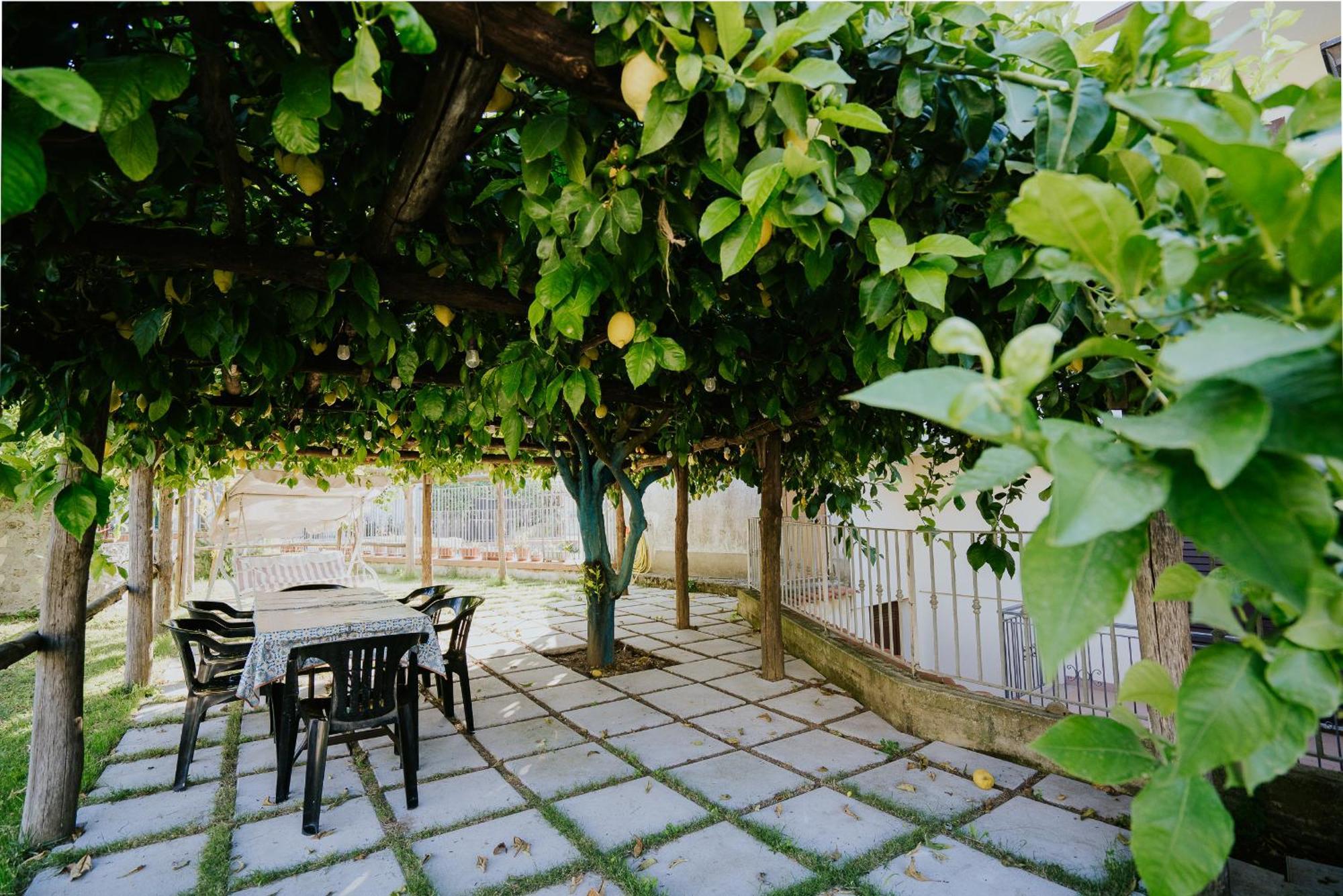 Apartamento Il Giardino Dei Limoni Polvica Exterior foto